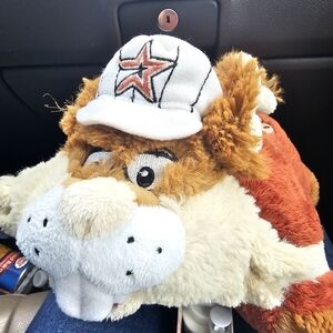 Houston astros